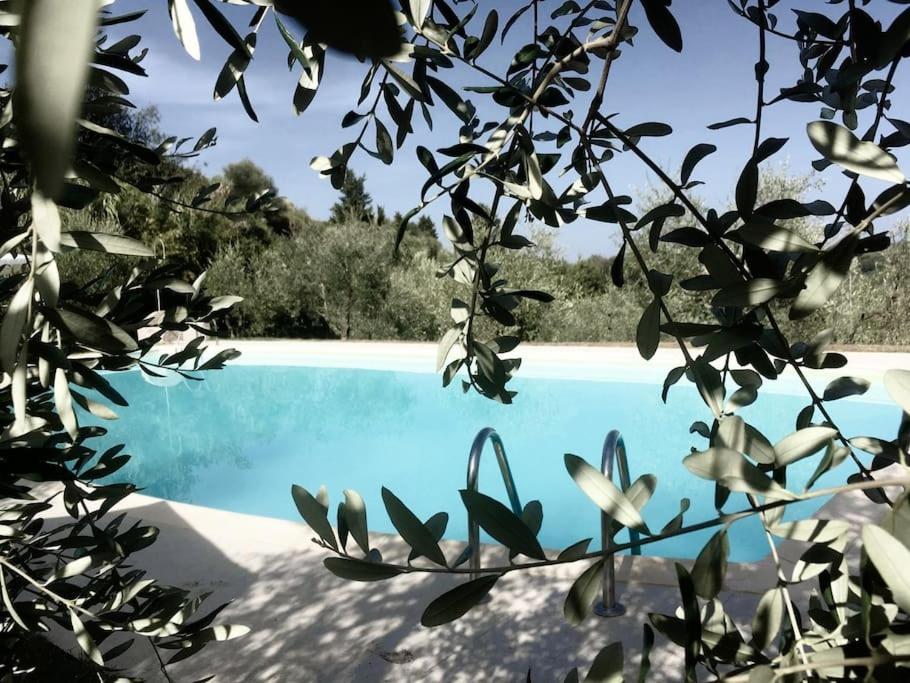 Podere San Giorgio Palaia Esterno foto