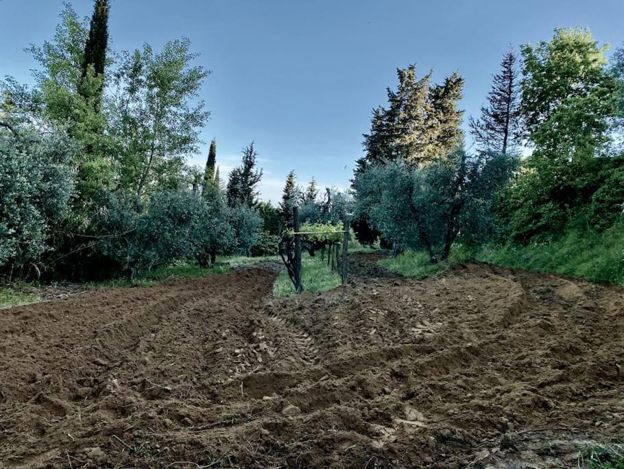 Podere San Giorgio Palaia Esterno foto